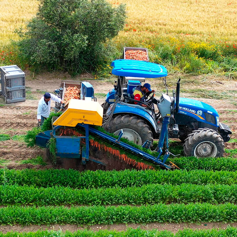 Notizie Tuttagricoltura