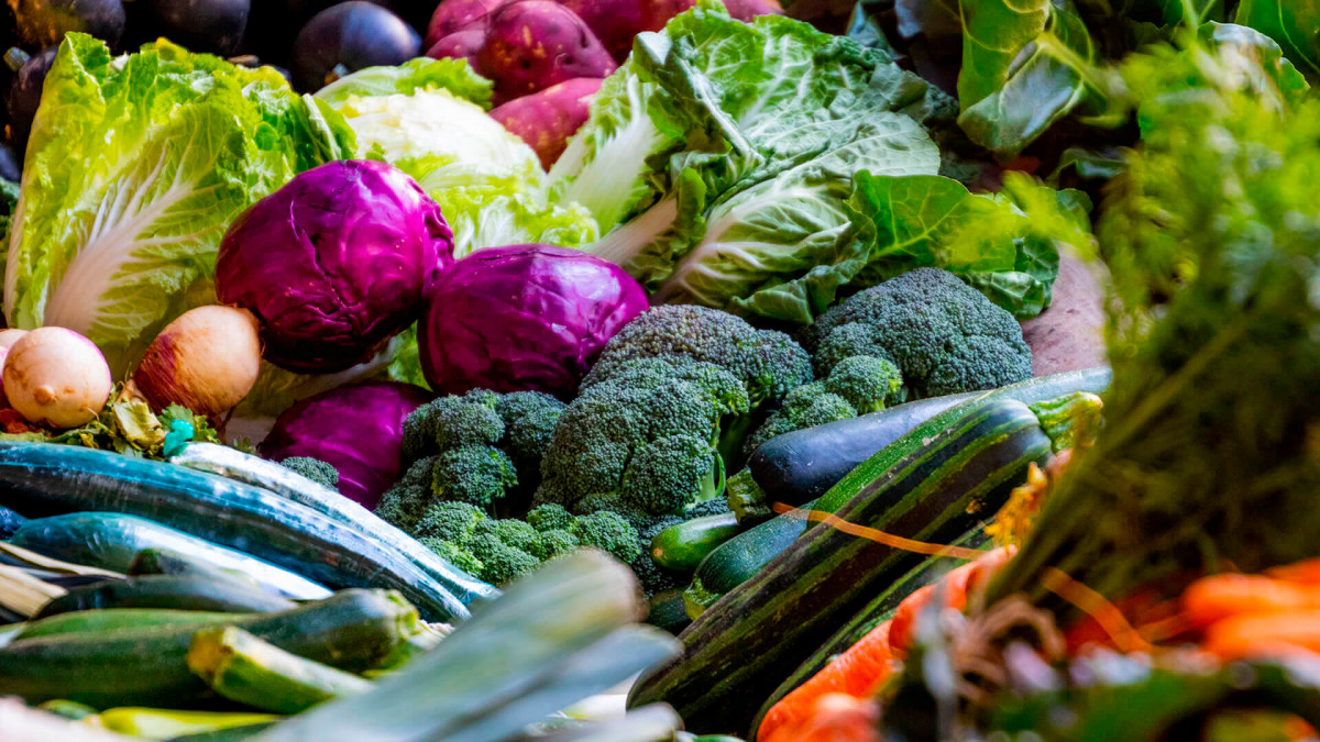 3 modelli di agricoltura vincenti