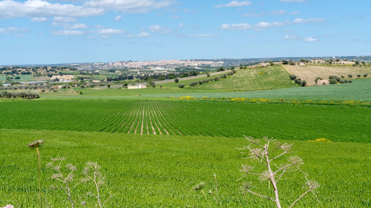 Azienda Fonteverde: la strada verso un’orticoltura sostenibile