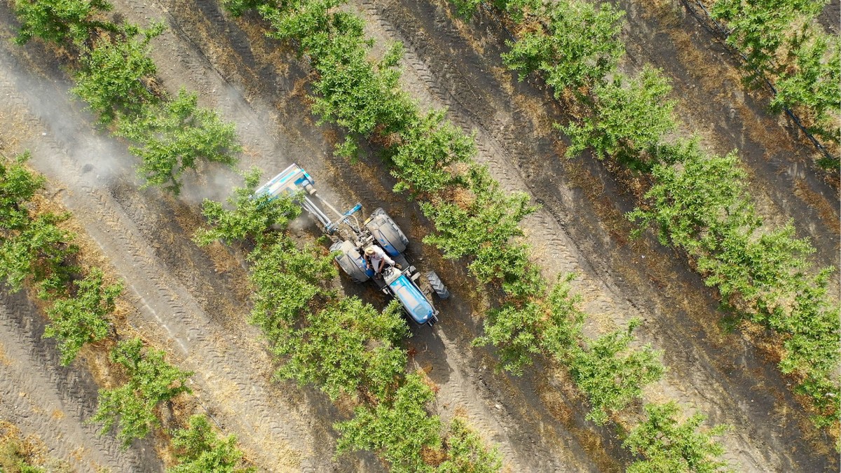 Azienda Experfields: mandorle bio e agricoltura rigenerativa