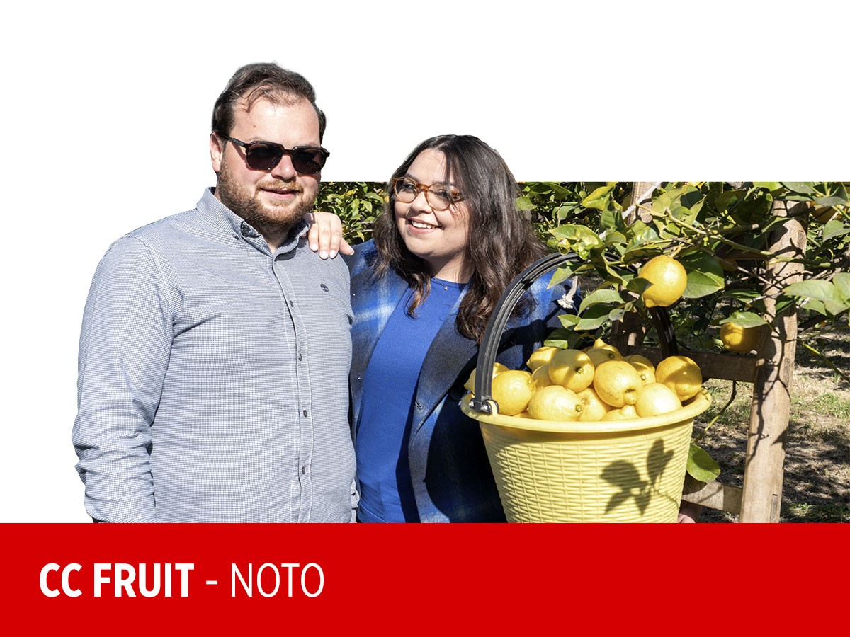 Limoni IGP di Siracusa e innovazione