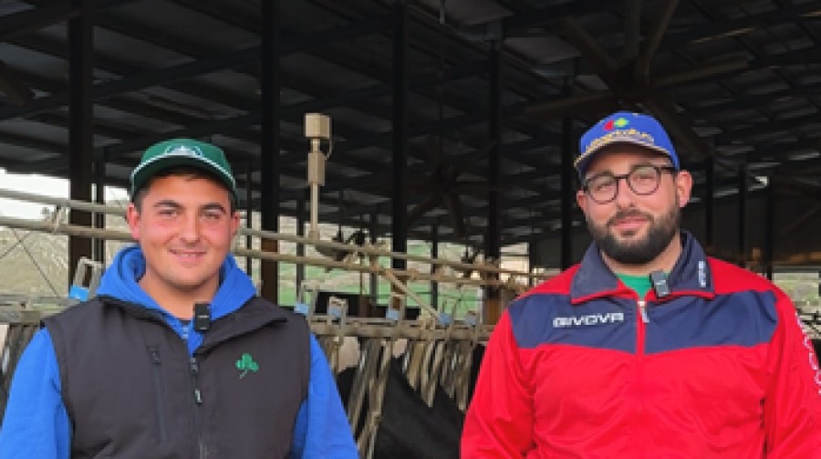 Azienda Agricola Baglieri Gulino
