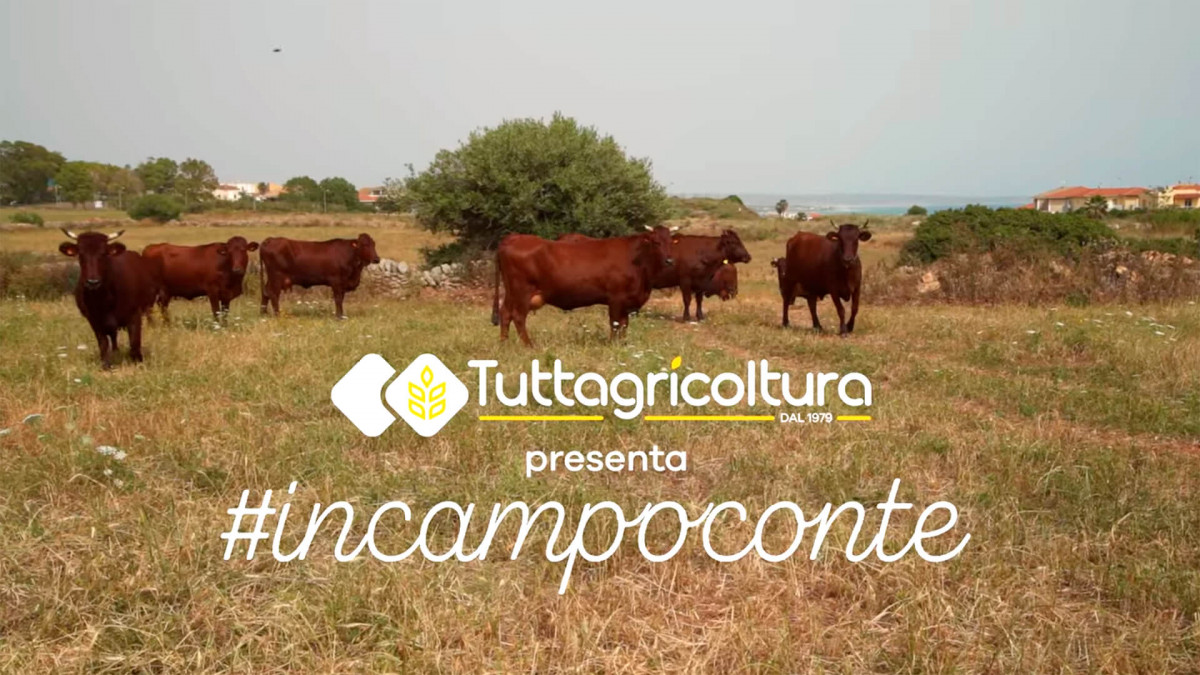 In campo con te: Tuttagricoltura racconta l’agricoltura giovane e innovativa in Sicilia