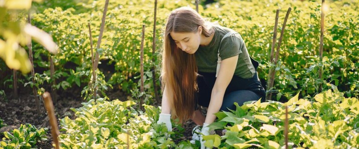 Le Donne dell&#039;Agricoltura nel 2024